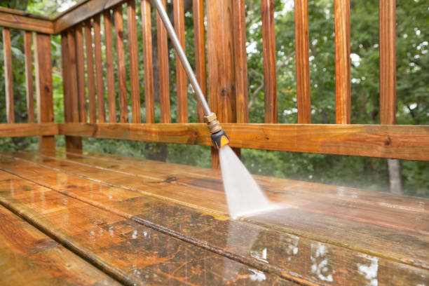 Best Affordable Pressure Washing  in Detroit Beach, MI